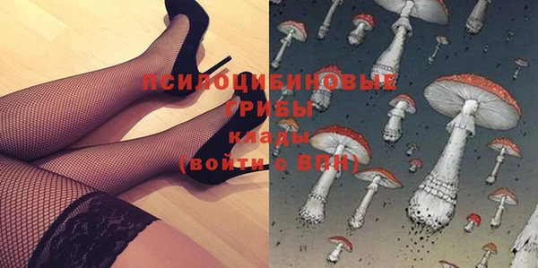 шишки Каменск-Шахтинский